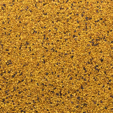 Biologische bijenpollen
