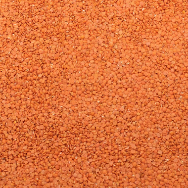 Biologische linzen rood
