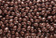 Biologische chocolade pinda's puur