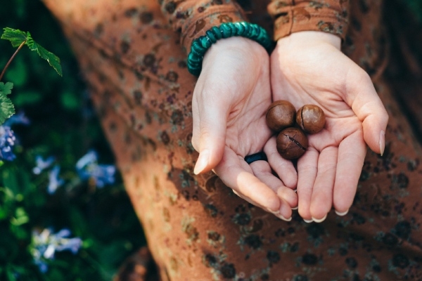 Biologische macadamia noten kopen? Bij Bionoot bestel je eenvoudig macadamia noten online.