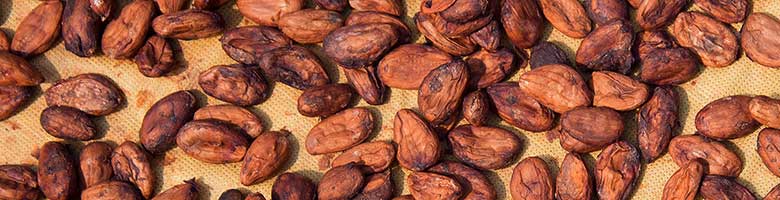 Cacao bevat 1500 mg kalium per 100 gram